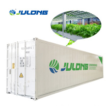 vertical farming hydroponics system container greenhouse